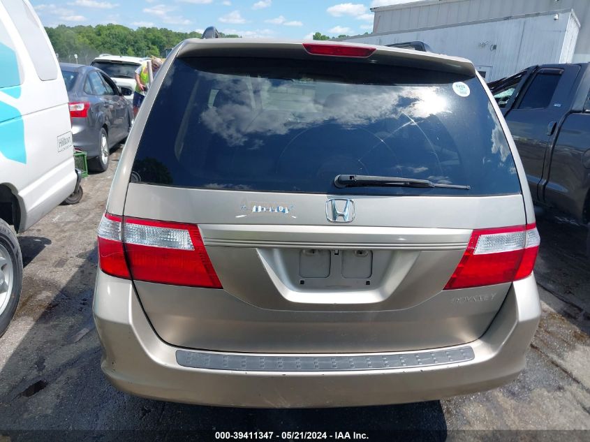 2005 Honda Odyssey Ex-L VIN: 5FNRL38755B121536 Lot: 39411347