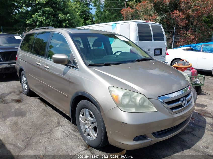 2005 Honda Odyssey Ex-L VIN: 5FNRL38755B121536 Lot: 39411347