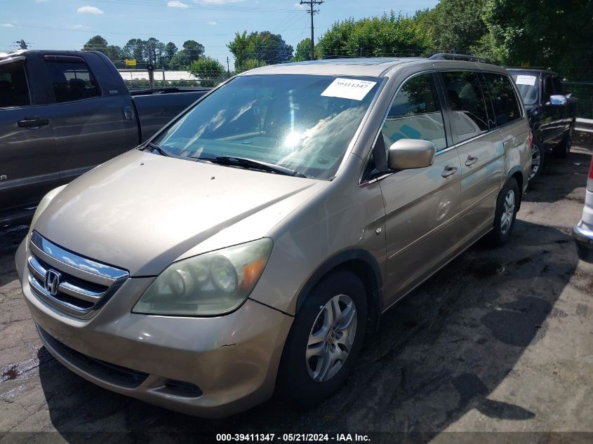 2005 Honda Odyssey Ex-L VIN: 5FNRL38755B121536 Lot: 39411347