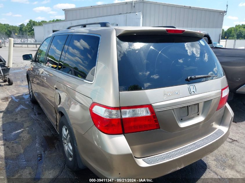 2005 Honda Odyssey Ex-L VIN: 5FNRL38755B121536 Lot: 39411347