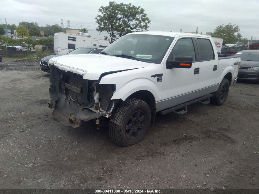 2010 Ford F-150 Fx4/Harley-Davidson/King Ranch/Lariat/Platinum/Xl/Xlt VIN: 1FTFW1EV3AFD54225 Lot: 39411380