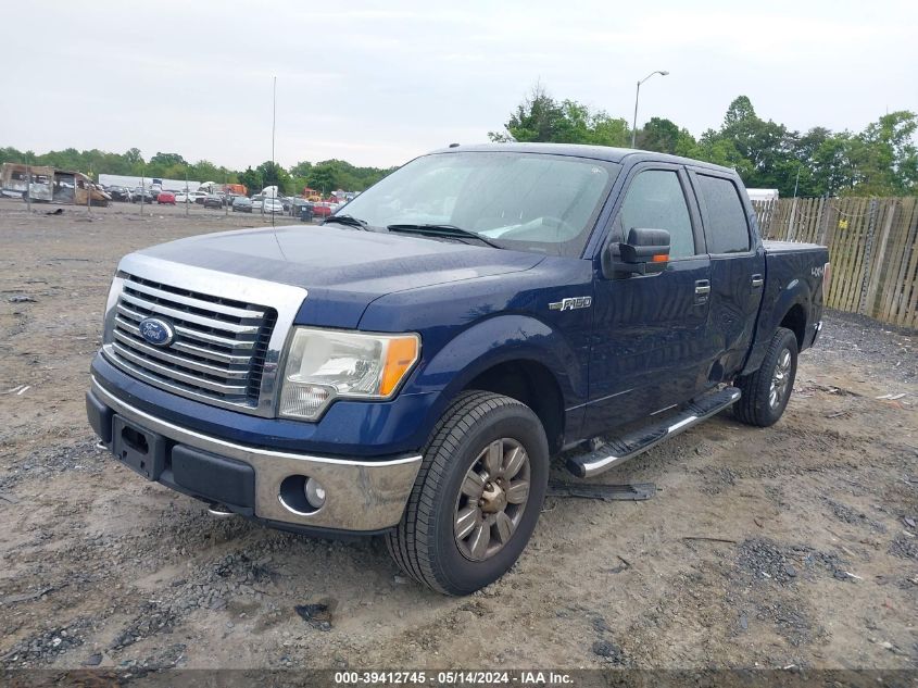 2010 Ford F-150 Fx4/Harley-Davidson/King Ranch/Lariat/Platinum/Xl/Xlt VIN: 1FTFW1EV4AFB07490 Lot: 39412745