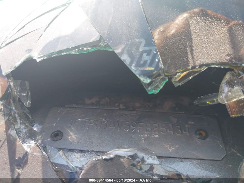 2009 Ford F-150 Fx4/Lariat/Xl/Xlt VIN: 1FTPW14V59FB25434 Lot: 39414564