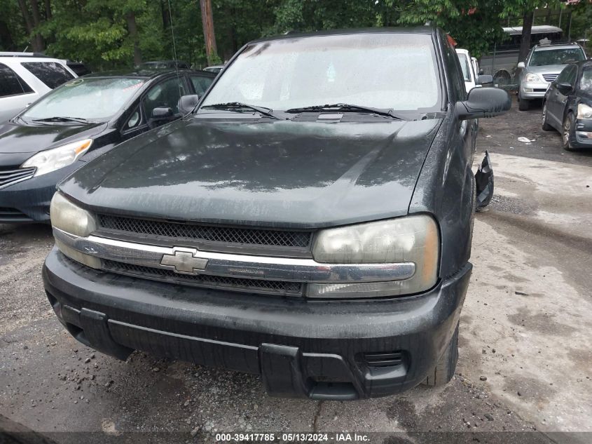 2003 Chevrolet Trailblazer Ls VIN: 1GNDS13S832390456 Lot: 39417785