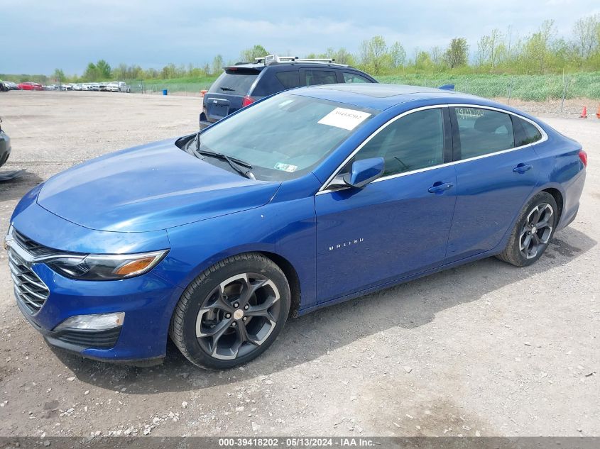 2023 Chevrolet Malibu Fwd 1Lt VIN: 1G1ZD5ST3PF233533 Lot: 39418202