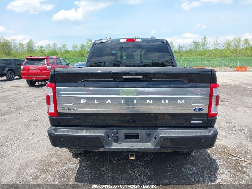 2023 FORD F-150 PLATINUM - 1FTFW1E84PFC05096