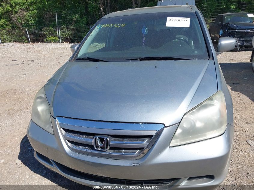 2007 Honda Odyssey Ex-L VIN: 5FNRL38667B045366 Lot: 39418564