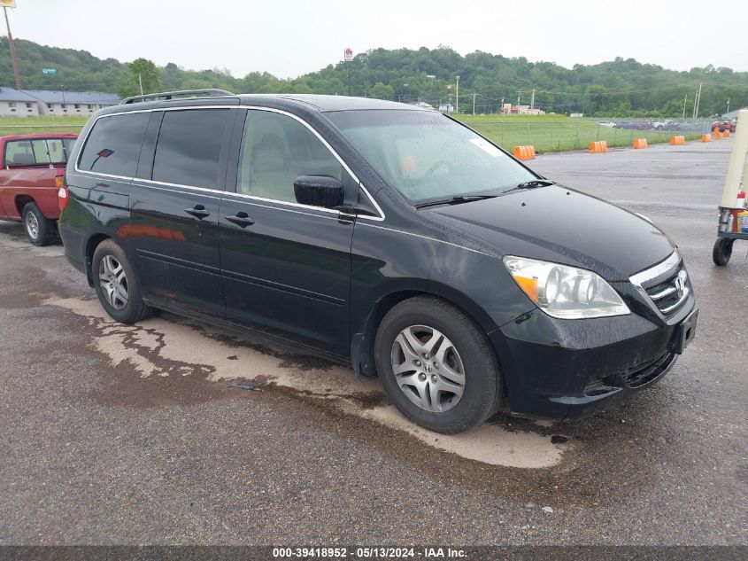 2006 Honda Odyssey Ex-L VIN: 5FNRL38716B451806 Lot: 39418952