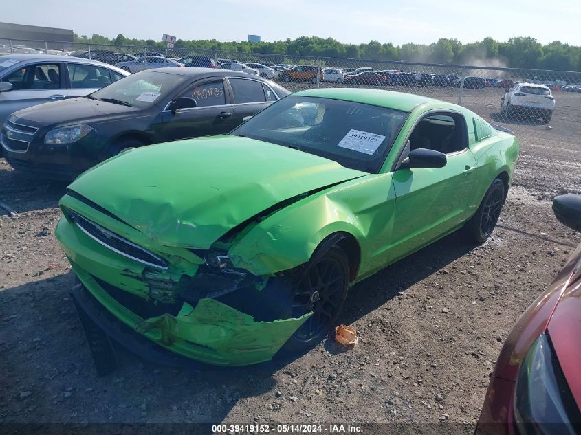 2014 Ford Mustang V6 VIN: 1ZVBP8AM4E5203775 Lot: 39419152