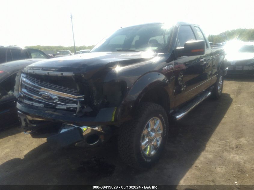 2013 Ford F-150 Xlt VIN: 1FTFX1EFXDFB74475 Lot: 39419829