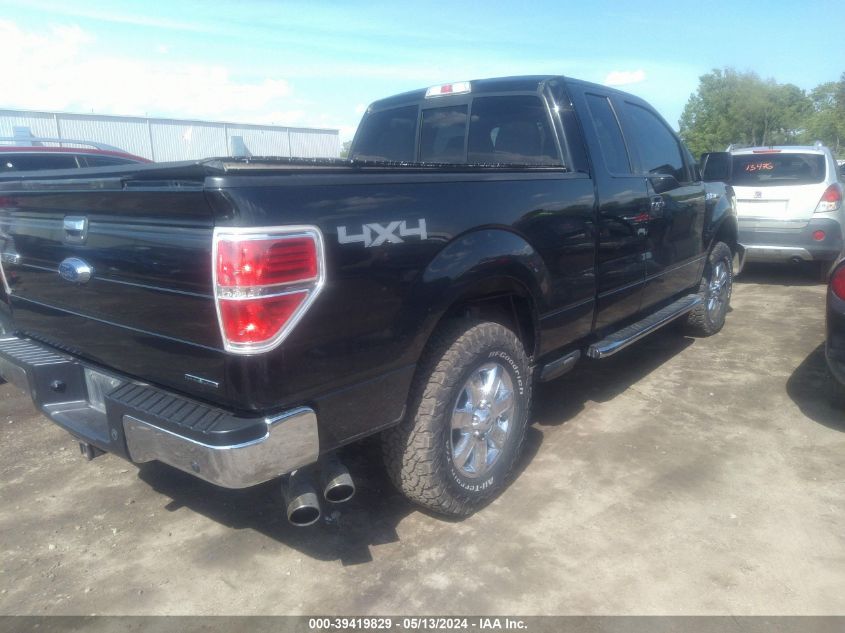 2013 Ford F-150 Xlt VIN: 1FTFX1EFXDFB74475 Lot: 39419829