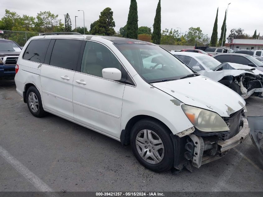 2007 Honda Odyssey Ex-L VIN: 5FNRL38727B061881 Lot: 39421257