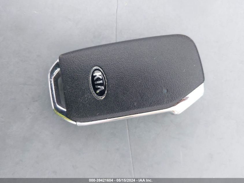 2020 Kia Telluride Sx VIN: 5XYP54HC4LG047018 Lot: 39421604