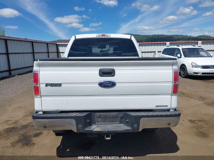 2013 Ford F-150 Xlt VIN: 1FTFW1EF8DFC44249 Lot: 39421775