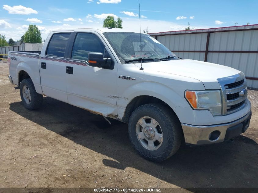 2013 Ford F-150 Xlt VIN: 1FTFW1EF8DFC44249 Lot: 39421775