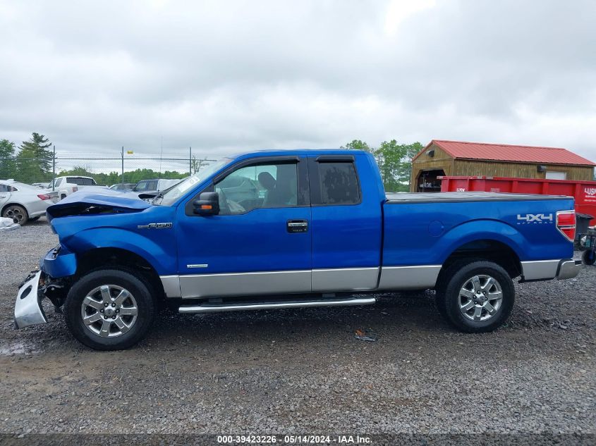 2013 FORD F-150 XLT - 1FTFX1ETXDFA13310