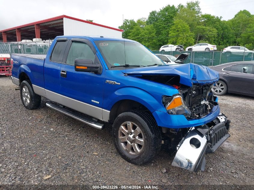 2013 FORD F-150 XLT - 1FTFX1ETXDFA13310