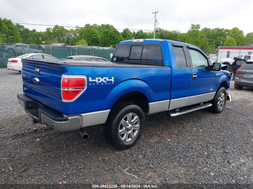 2013 FORD F-150 XLT - 1FTFX1ETXDFA13310