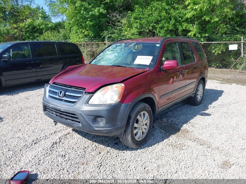 2006 Honda Cr-V Ex VIN: SHSRD78806U405552 Lot: 39423439