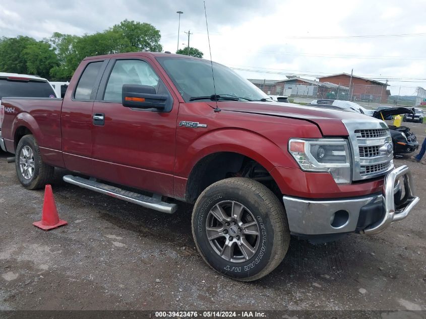 2014 Ford F-150 Xlt VIN: 1FTFX1EF8EKE62536 Lot: 39423476