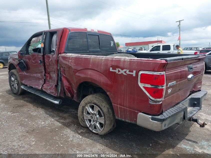 2014 Ford F-150 Xlt VIN: 1FTFX1EF8EKE62536 Lot: 39423476