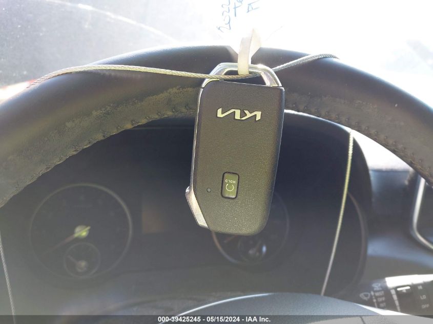 2022 Kia Telluride Lx VIN: 5XYP2DHC8NG203993 Lot: 39425245