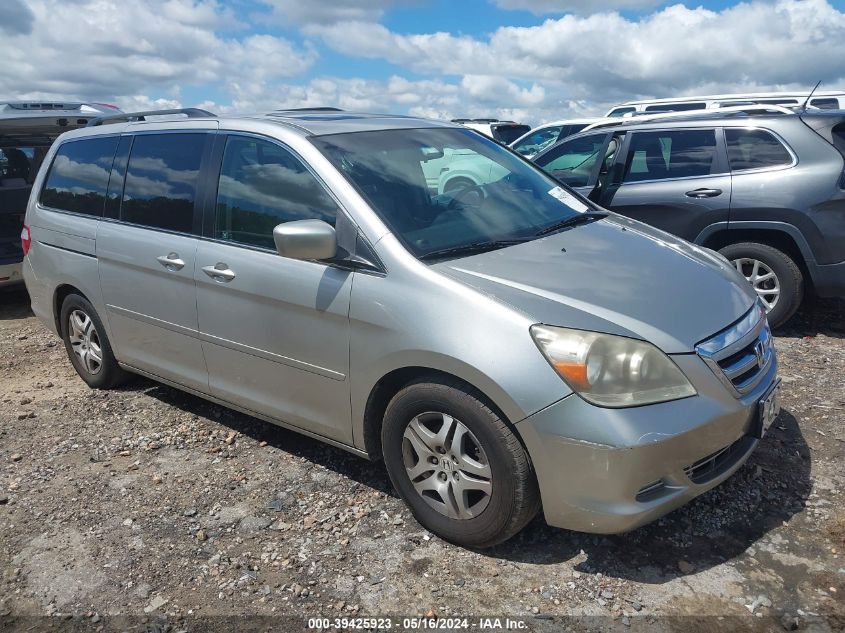 2007 Honda Odyssey Ex-L VIN: 5FNRL38667B423590 Lot: 39425923