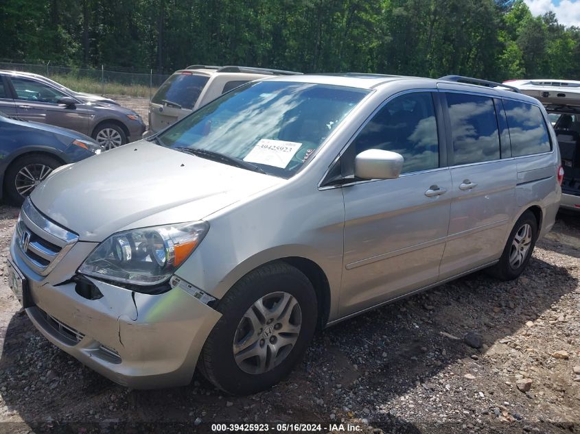 2007 Honda Odyssey Ex-L VIN: 5FNRL38667B423590 Lot: 39425923