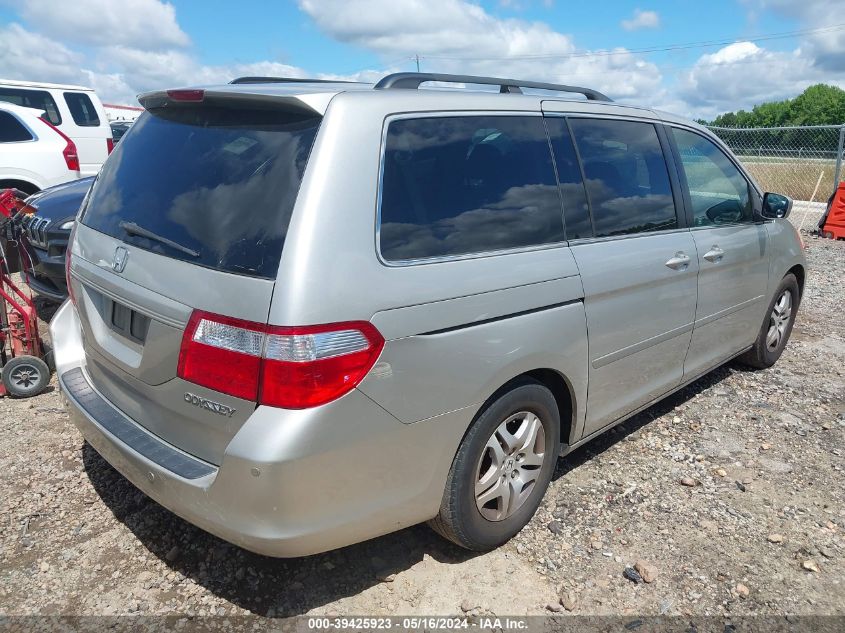 2007 Honda Odyssey Ex-L VIN: 5FNRL38667B423590 Lot: 39425923