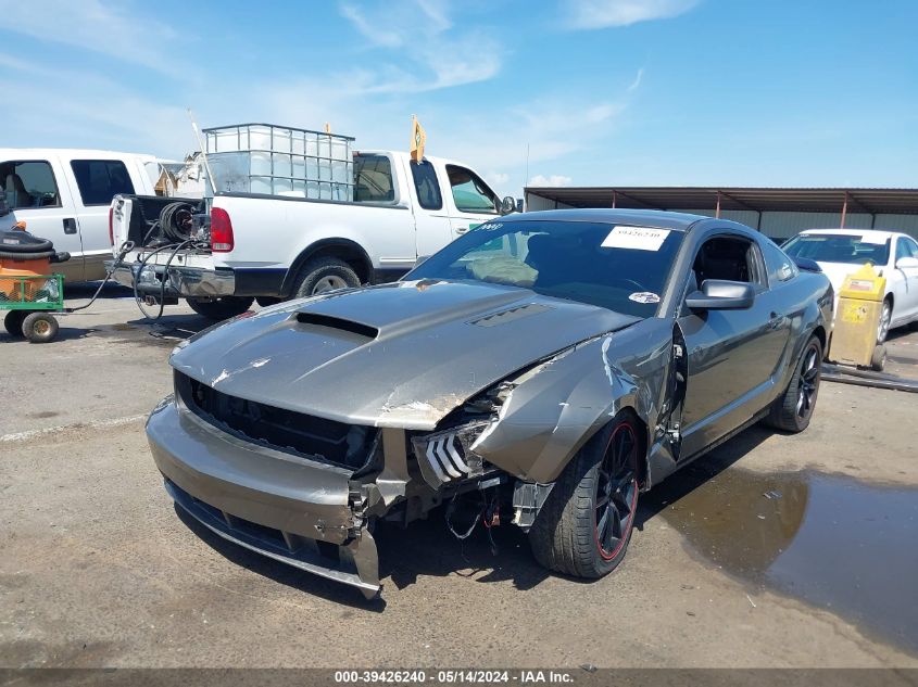 2005 Ford Mustang Gt Deluxe/Gt Premium VIN: 1ZVHT82H955226296 Lot: 39426240