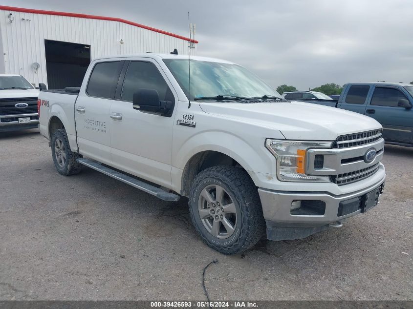 2019 FORD F-150 XLT - 1FTEW1E56KFA14354