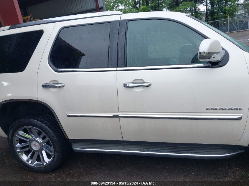 2010 Cadillac Escalade Standard VIN: 1GYUKAEF3AR122793 Lot: 39429194