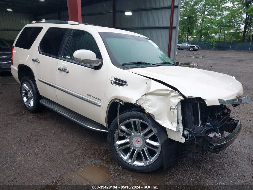 2010 Cadillac Escalade Standard VIN: 1GYUKAEF3AR122793 Lot: 39429194