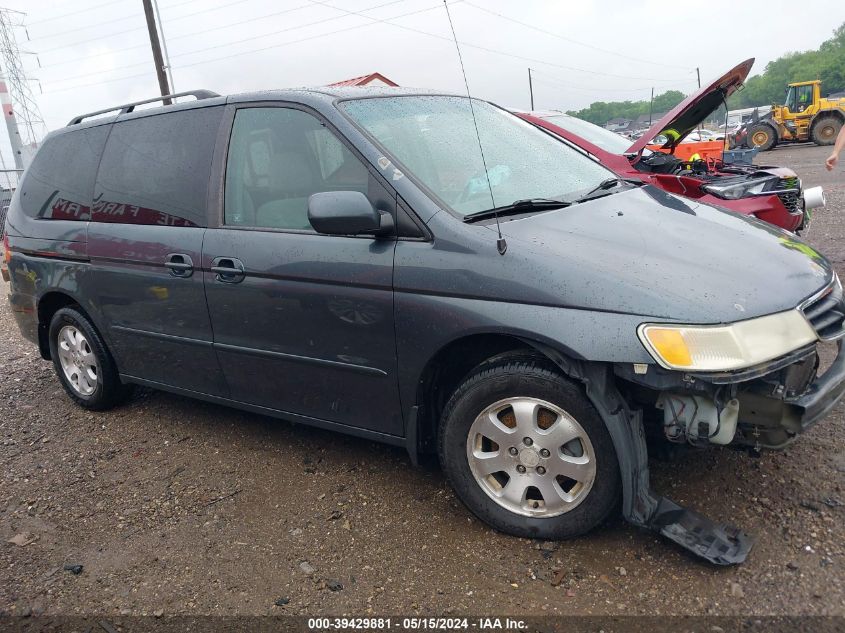 2004 Honda Odyssey Ex VIN: 5FNRL18824B089575 Lot: 39429881