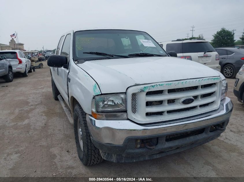 2003 Ford F-250 Lariat/Xl/Xlt VIN: 1FTNW20P13EC02494 Lot: 39430544