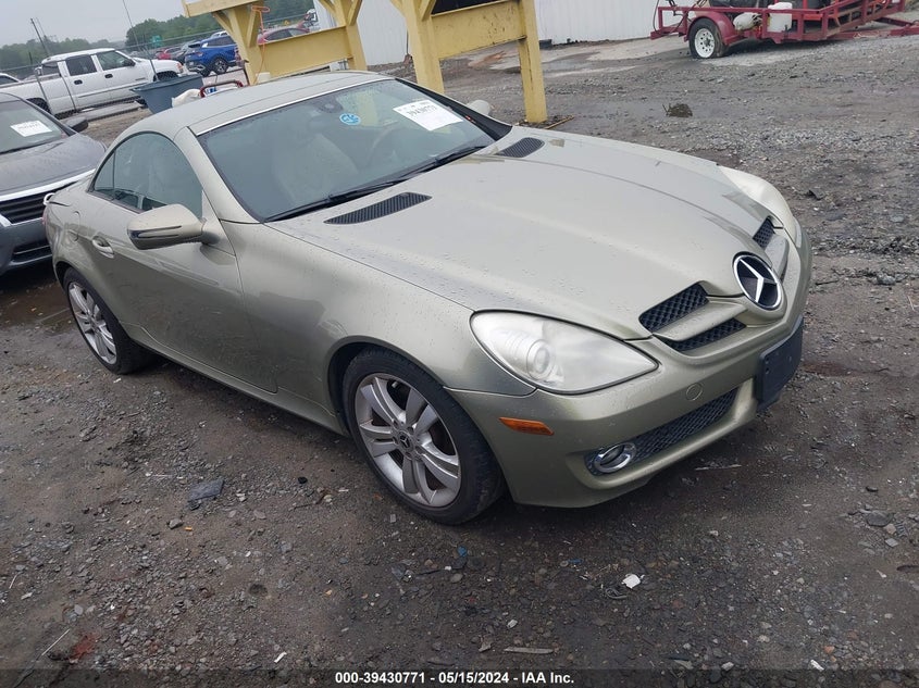2010 Mercedes-Benz Slk 300 VIN: WDBWK5EA5AF226096 Lot: 39430771