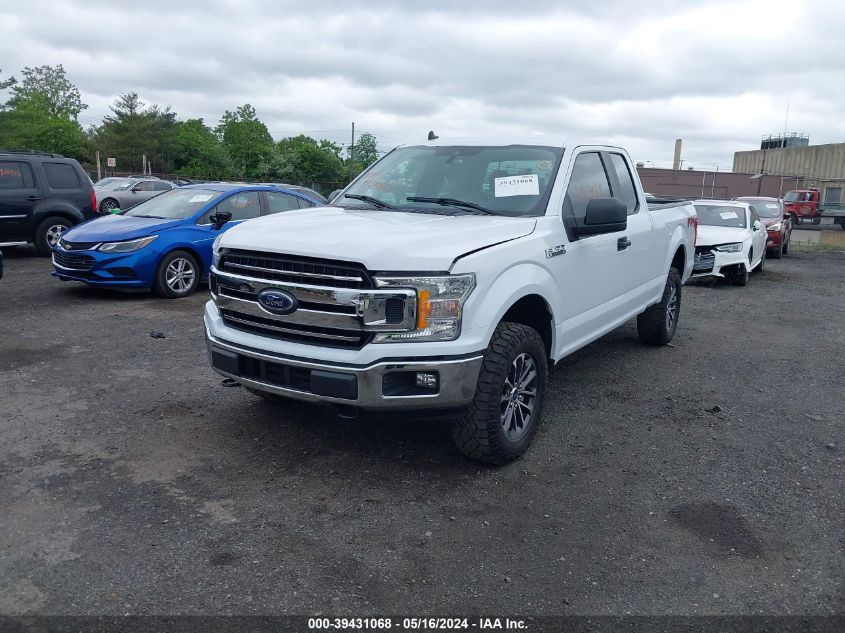 2020 Ford F-150 Xl VIN: 1FTEX1EP8LKF53596 Lot: 39431068