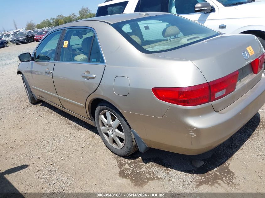 2005 Honda Accord 3.0 Ex VIN: 1HGCM66505A061584 Lot: 39431681