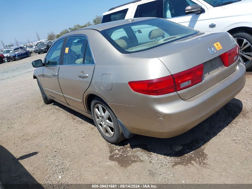 2005 Honda Accord 3.0 Ex VIN: 1HGCM66505A061584 Lot: 39431681