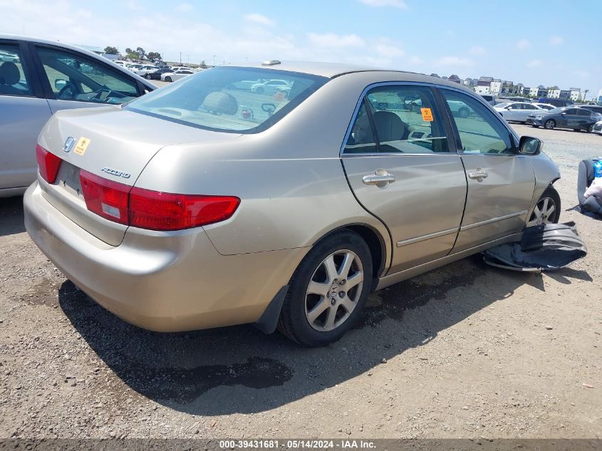 2005 Honda Accord 3.0 Ex VIN: 1HGCM66505A061584 Lot: 39431681