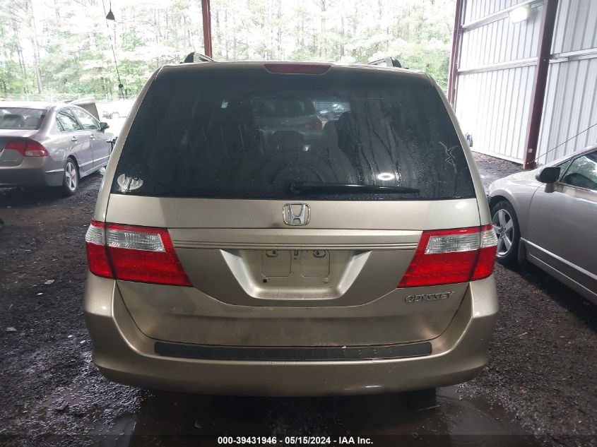 2005 Honda Odyssey Ex-L VIN: 5FNRL386X5B049983 Lot: 39431946