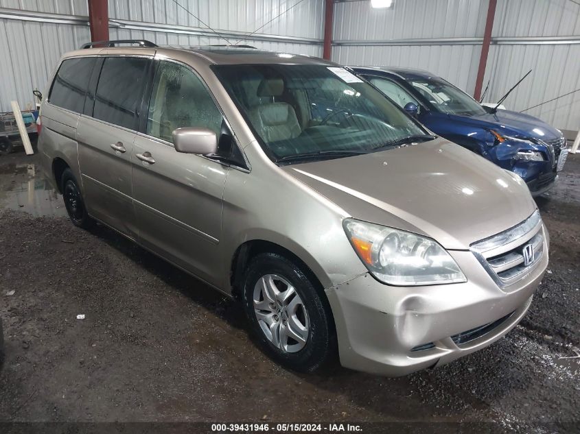 2005 Honda Odyssey Ex-L VIN: 5FNRL386X5B049983 Lot: 39431946