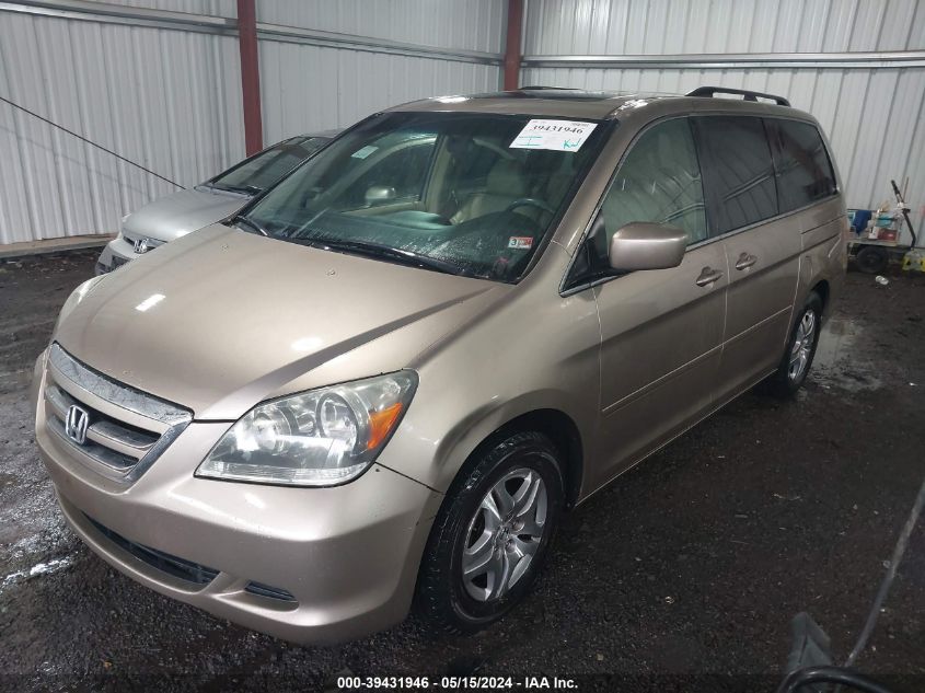 2005 Honda Odyssey Ex-L VIN: 5FNRL386X5B049983 Lot: 39431946