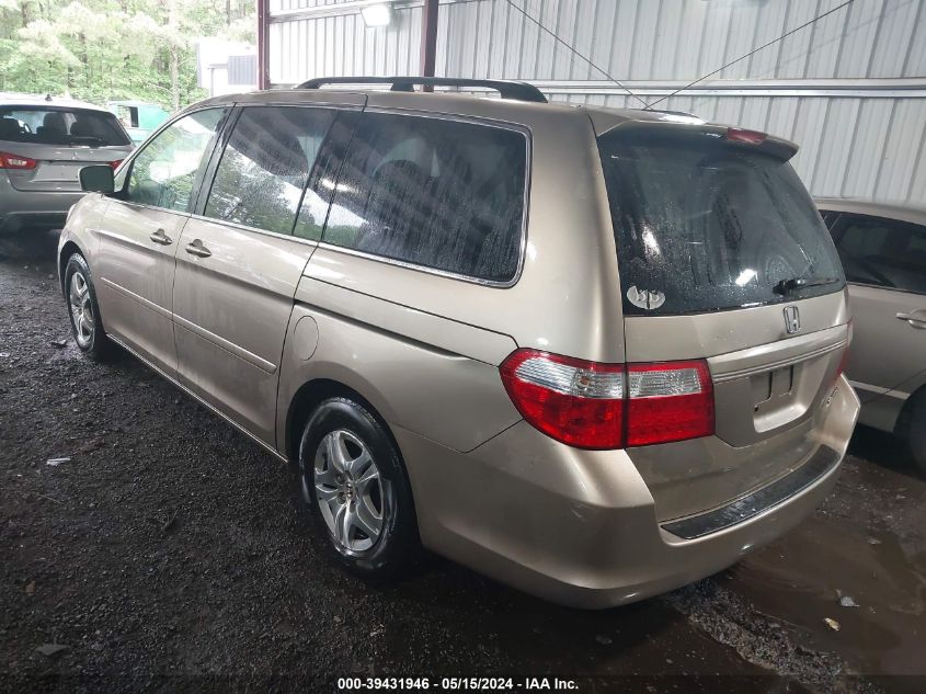 2005 Honda Odyssey Ex-L VIN: 5FNRL386X5B049983 Lot: 39431946