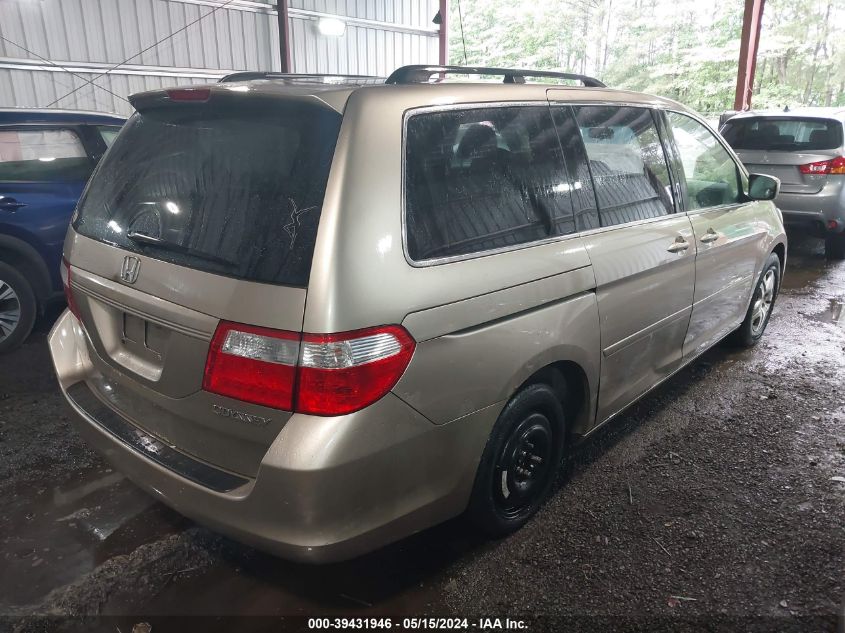 2005 Honda Odyssey Ex-L VIN: 5FNRL386X5B049983 Lot: 39431946