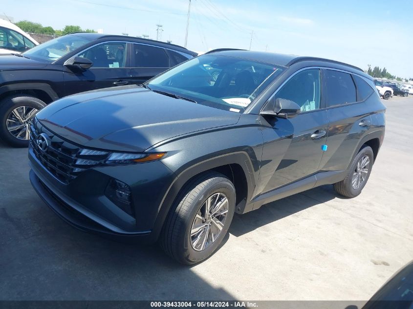 2024 Hyundai Tucson Hybrid Blue VIN: KM8JBCD18RU212732 Lot: 39433004