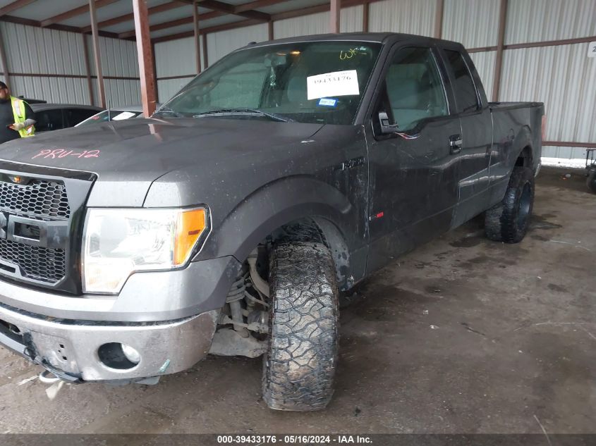 2013 Ford F-150 Xlt VIN: 1FTFX1EF8DKD75007 Lot: 39433176