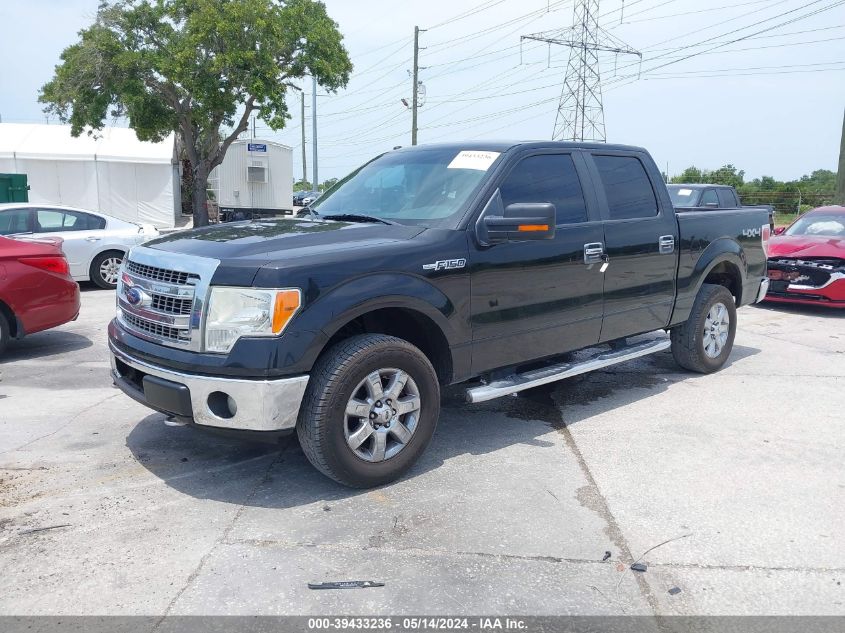 2013 Ford F-150 Xlt VIN: 1FTFW1EFXDKF18686 Lot: 39433236