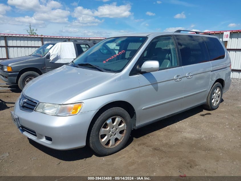 2003 Honda Odyssey Ex-L VIN: 5FNRL18073B117198 Lot: 39433488