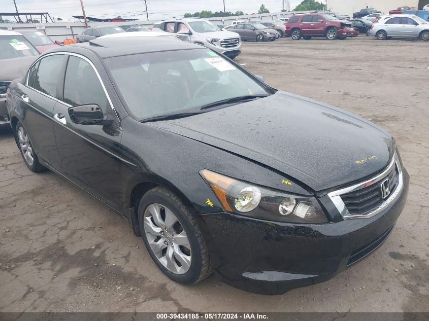 2010 Honda Accord 3.5 Ex-L VIN: 1HGCP3F83AA013233 Lot: 39434185